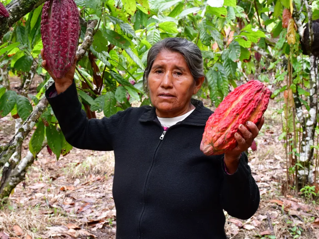 innerg2_MUJERES EMPRENDEDORAS CACAO DSC_1155
